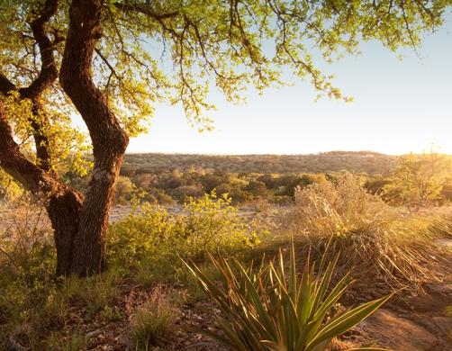 service area westlake hills tx